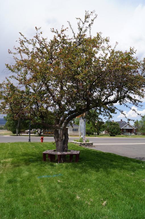 Canyon Lodge Motel Panguitch Esterno foto